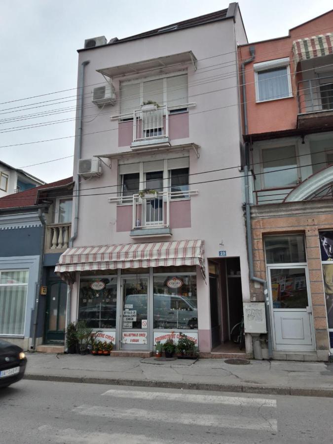 Apartments Tatjana Jagodina Kültér fotó